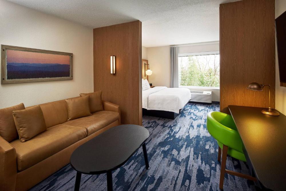 Suite, 1 King, Sofa bed interior